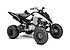 2020 Yamaha Raptor 700 for sale 200842141